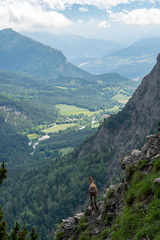 RhoneAlpes165