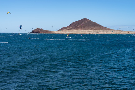 Canaries-0003-IMGP1742