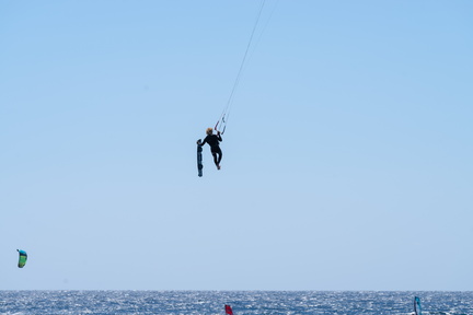 Canaries-0004-IMGP1762