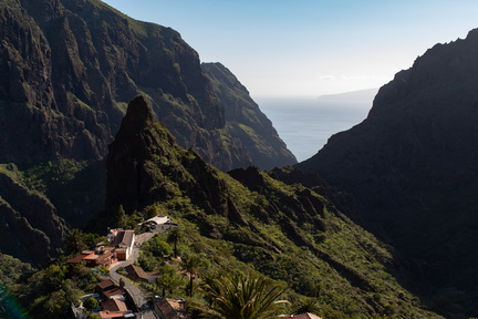 Canaries-0012-IMGP1827