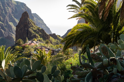 Canaries-0014-IMGP1840