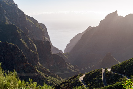 Canaries-0015-IMGP1842