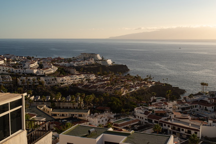 Canaries-0016-IMGP1847