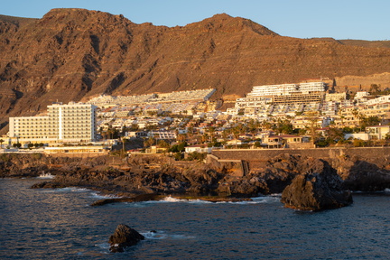 Canaries-0018-IMGP1862