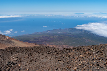 Canaries-0027-IMGP1917