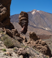 Canaries-0035-IMGP2019