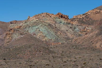 Canaries-0044-IMGP2134