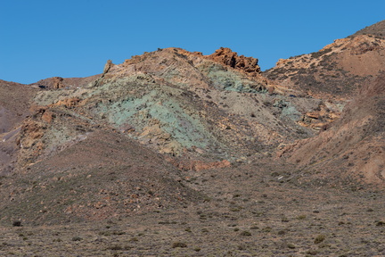 Canaries-0044-IMGP2134