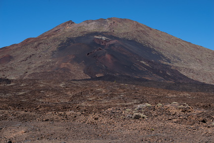 Canaries-0045-IMGP2136