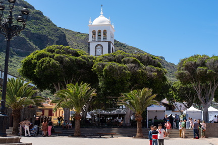 Canaries-0064-IMGP2373