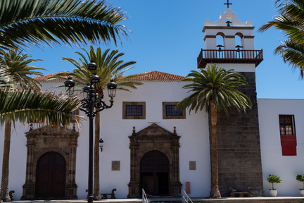 Canaries-0065-IMGP2376