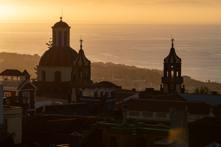 Canaries-0085-IMGP2592