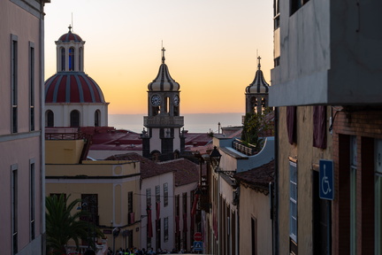 Canaries-0090-IMGP2648