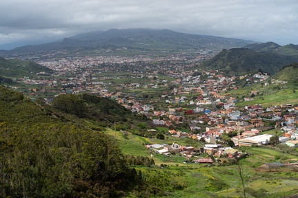 Canaries-0095-IMGP2748