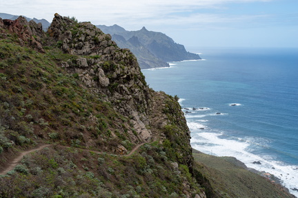 Canaries-0103-IMGP2863