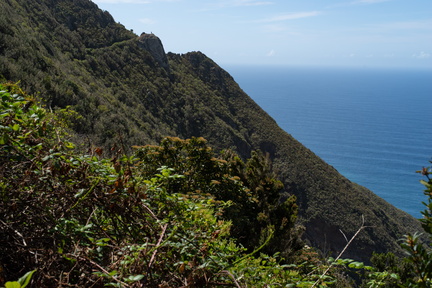 Canaries-0106-IMGP2894