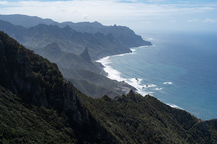 Canaries-0108-IMGP2900