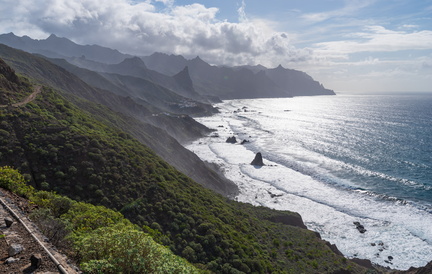 Canaries-0114-IMGP2975