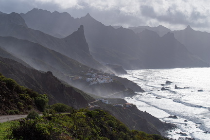 Canaries-0115-IMGP2988