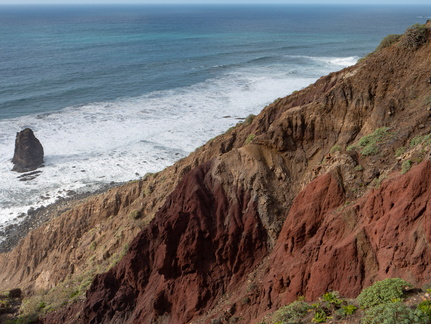 Canaries-0117-P1515602