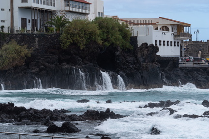 Canaries-0132-IMGP3287