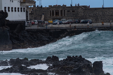 Canaries-0133-IMGP3300