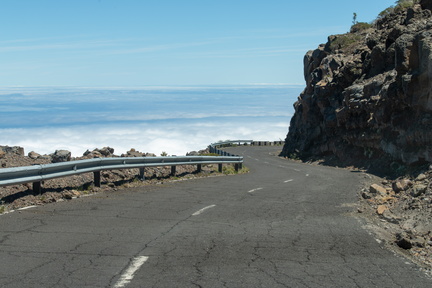 Canaries-0145-IMGP3396