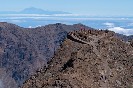 Canaries-0154-IMGP3550