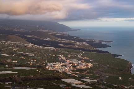 Canaries-0175-IMGP3897