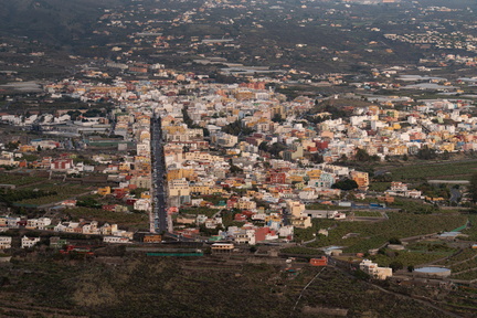 Canaries-0176-IMGP3900