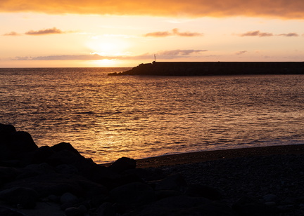 Canaries-0178-IMGP3925