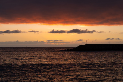 Canaries-0179-IMGP3955