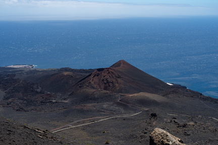 Canaries-0183-IMGP3978