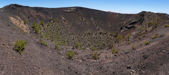 Canaries-0184-IMGP3986-Pano