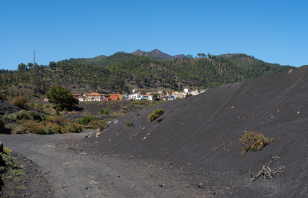 Canaries-0189-IMGP4083