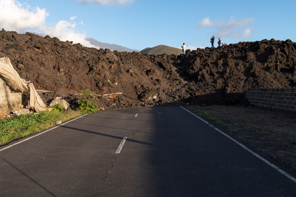 Canaries-0201-IMGP4174