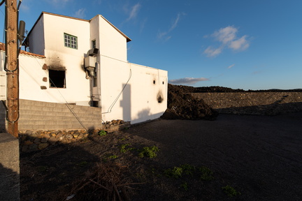 Canaries-0204-IMGP4182