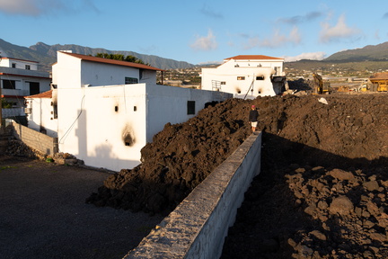 Canaries-0205-IMGP4190