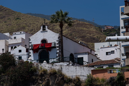 Canaries-0246-IMGP4965