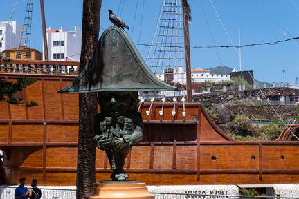 Canaries-0251-IMGP4989