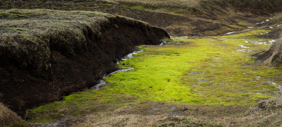 Iceland 086 4s