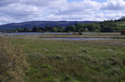 IMGP9349