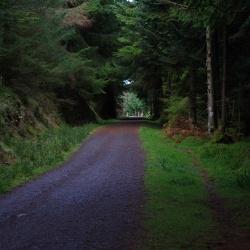 Dublin Mountains