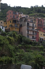 Cinque Terre-IMGP4760