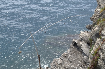 Cinque Terre-IMGP4817