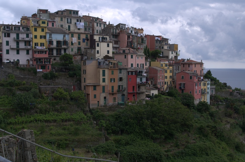 Cinque Terre-IMGP4880