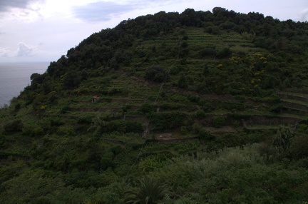 Cinque Terre-IMGP4884