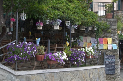 Cinque Terre-IMGP4894