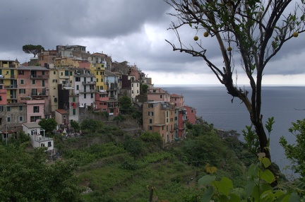 Cinque Terre-IMGP4937