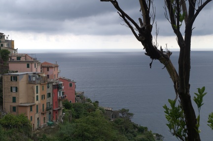 Cinque Terre-IMGP4940